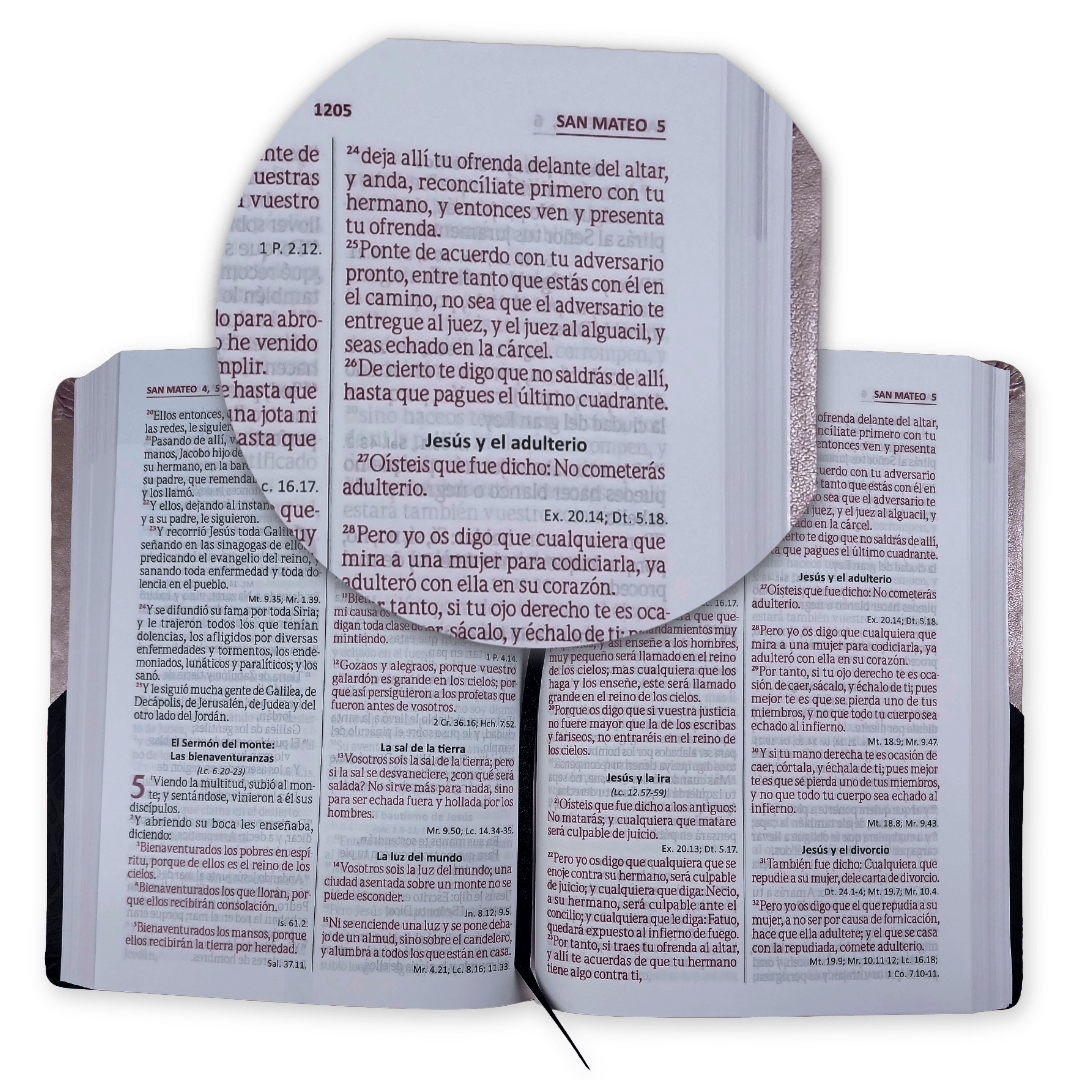 Biblia Reina Valera 1960 – 085 – Con Concordancia – Letra 12 pts – 17x23,5 cm – Palabras de Jesús en Rojo – Negro/Beige
