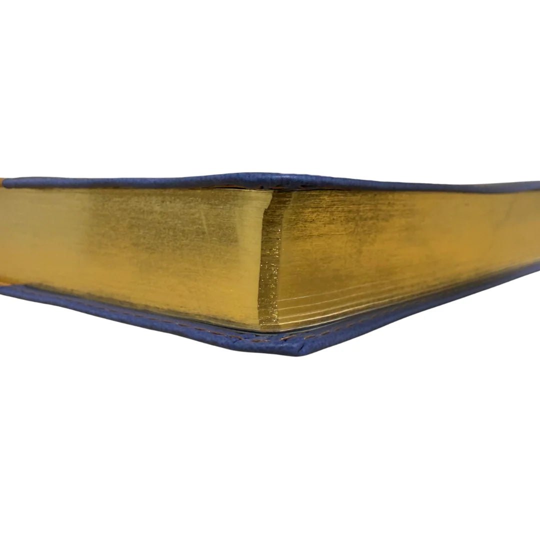 Biblia Reina Valera 1960 letra grande "Perdona y Restaura" azul/café canto plateado