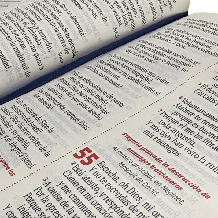 Biblia Reina Valera 1960 letra grande con cierre azul canto plateado