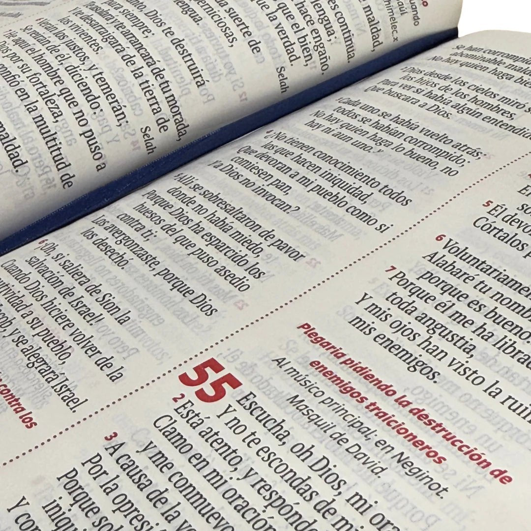 BIBLIA REINA VALERA 1960 066ZLG PJR L 12p 13x21 CIERRE TAPA PU ROJO PJR