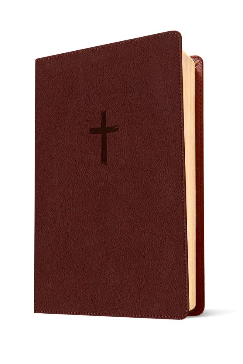 Biblia Nueva Traducción Viviente – Tapa Imitación Piel Café, Letra 9.5pt, 17x24 cm