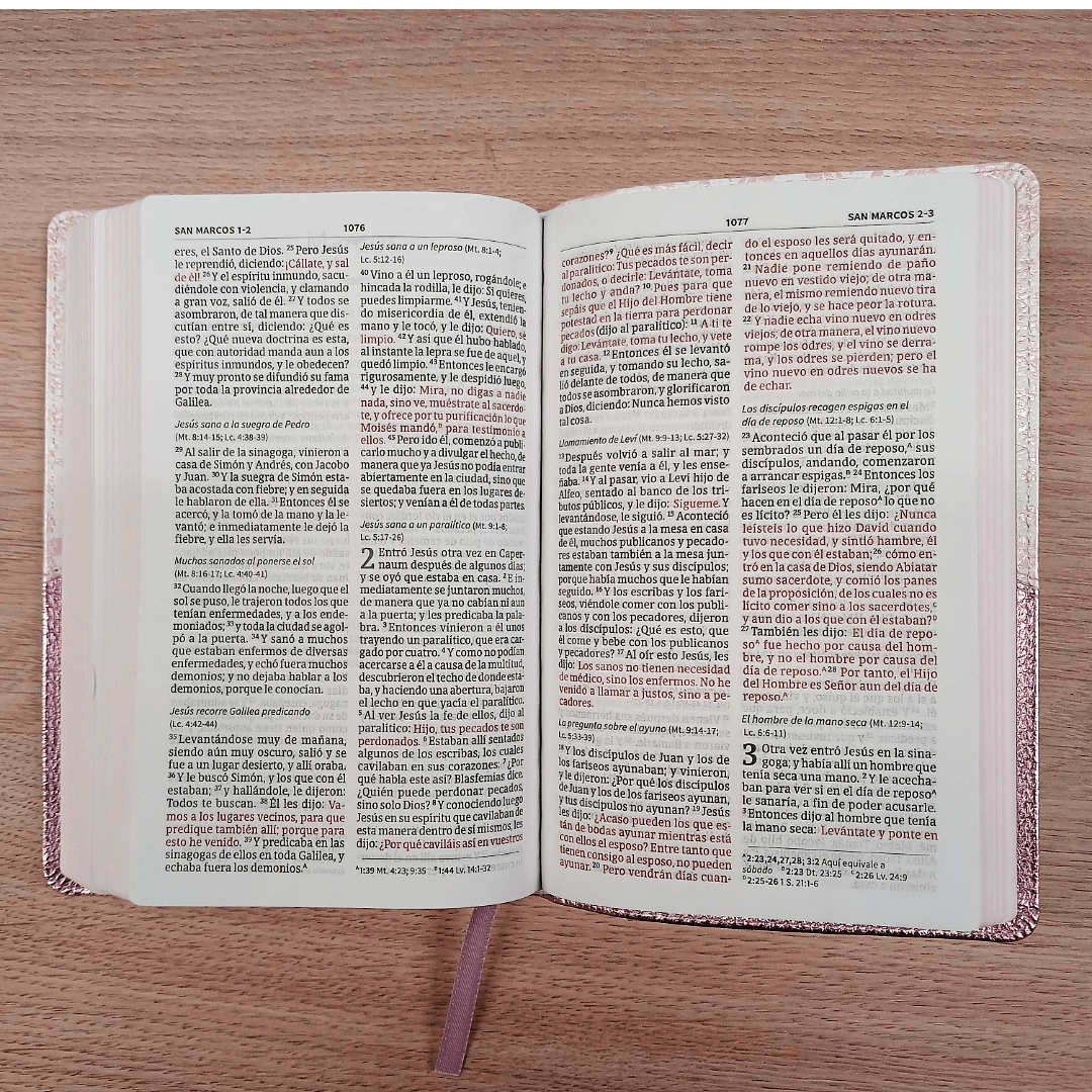 Biblia Mis Quince Reina Valera 1960 – Tapa Imitación Piel Rosa Floreado