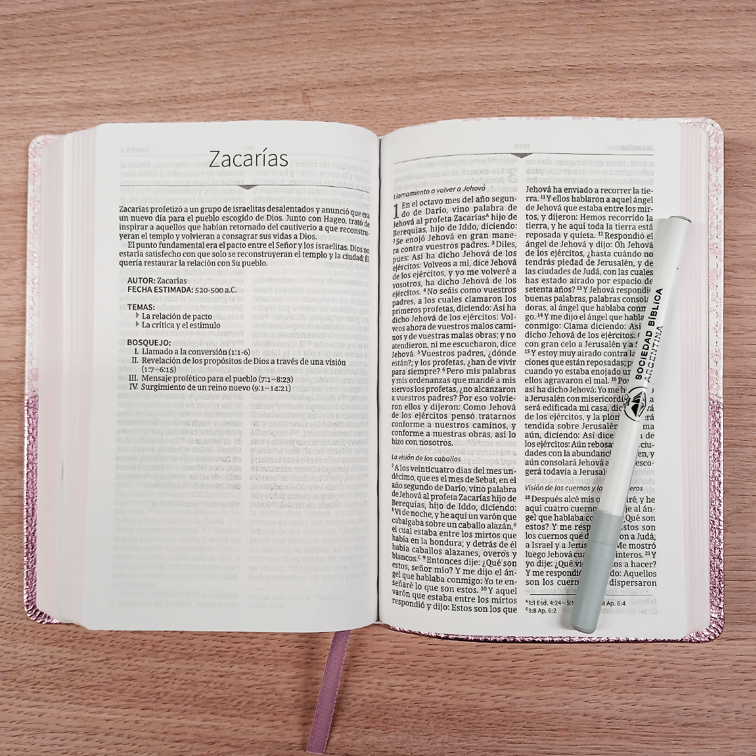 Biblia Mis Quince Reina Valera 1960 – Tapa Imitación Piel Rosa Floreado