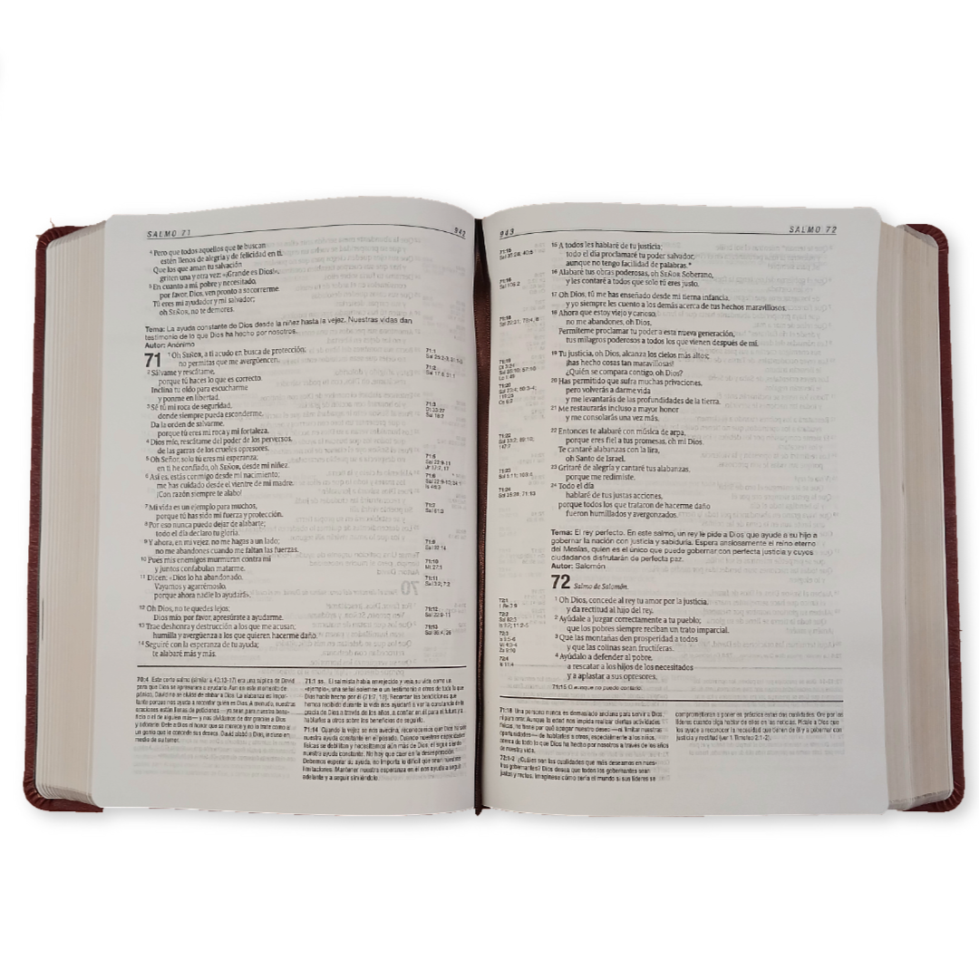 Biblia de Estudio Diario Vivir Nueva Traducción Viviente – Tapa Imitación Piel Café, Letra 11pt, 18x25 cm