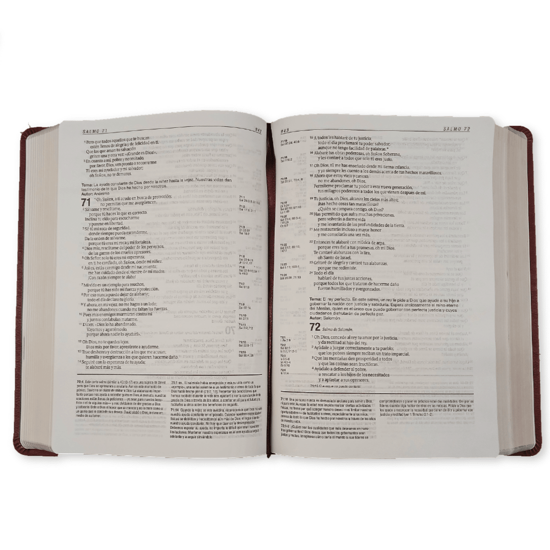 Biblia de Estudio Diario Vivir Nueva Traducción Viviente – Tapa Imitación Piel Café, Letra 11pt, 18x25 cm