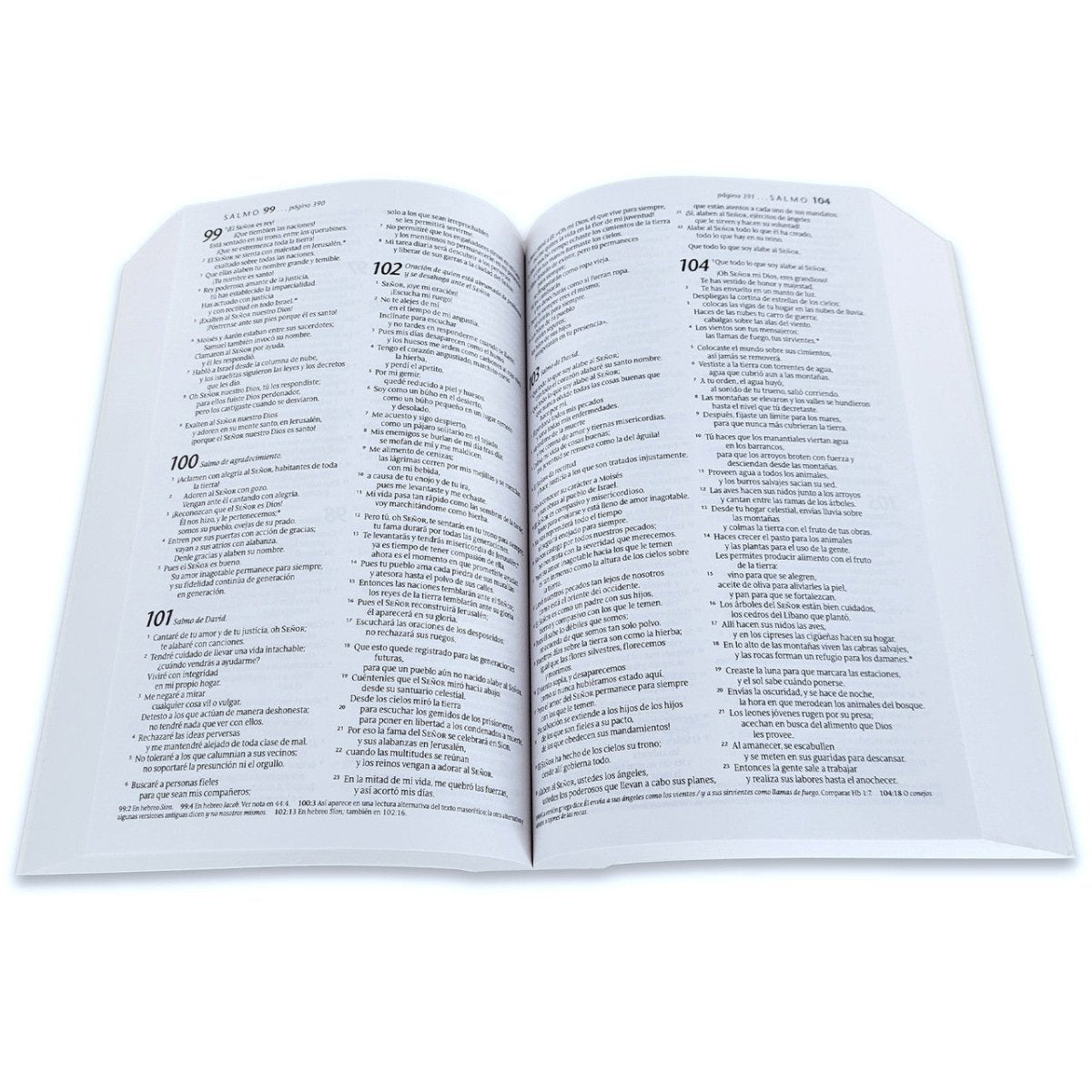 Biblia Nueva Traducción Viviente – Tapa Rústica Azul, Letra 8pt, 14x21 cm