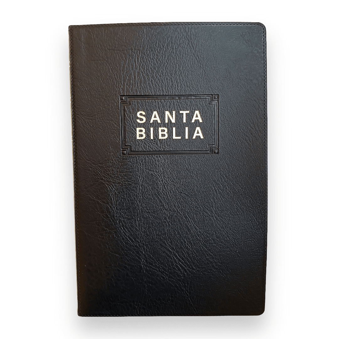Biblia Nueva Traducción Viviente Vinil Negro