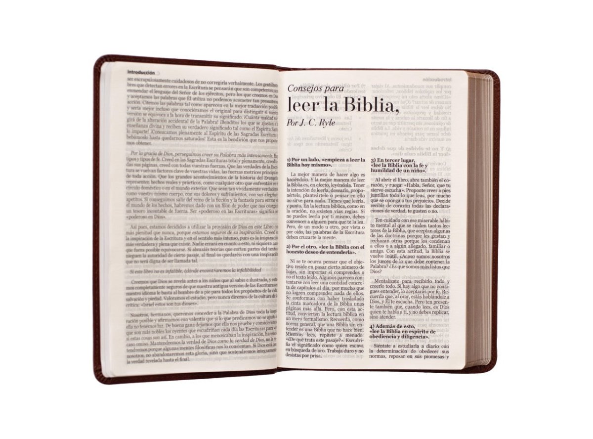 Biblia Reina Valera 1960 · 13,8x21,2 cm · Letra grande 12,5 pt · Edición clásica · Tapa imitación piel café