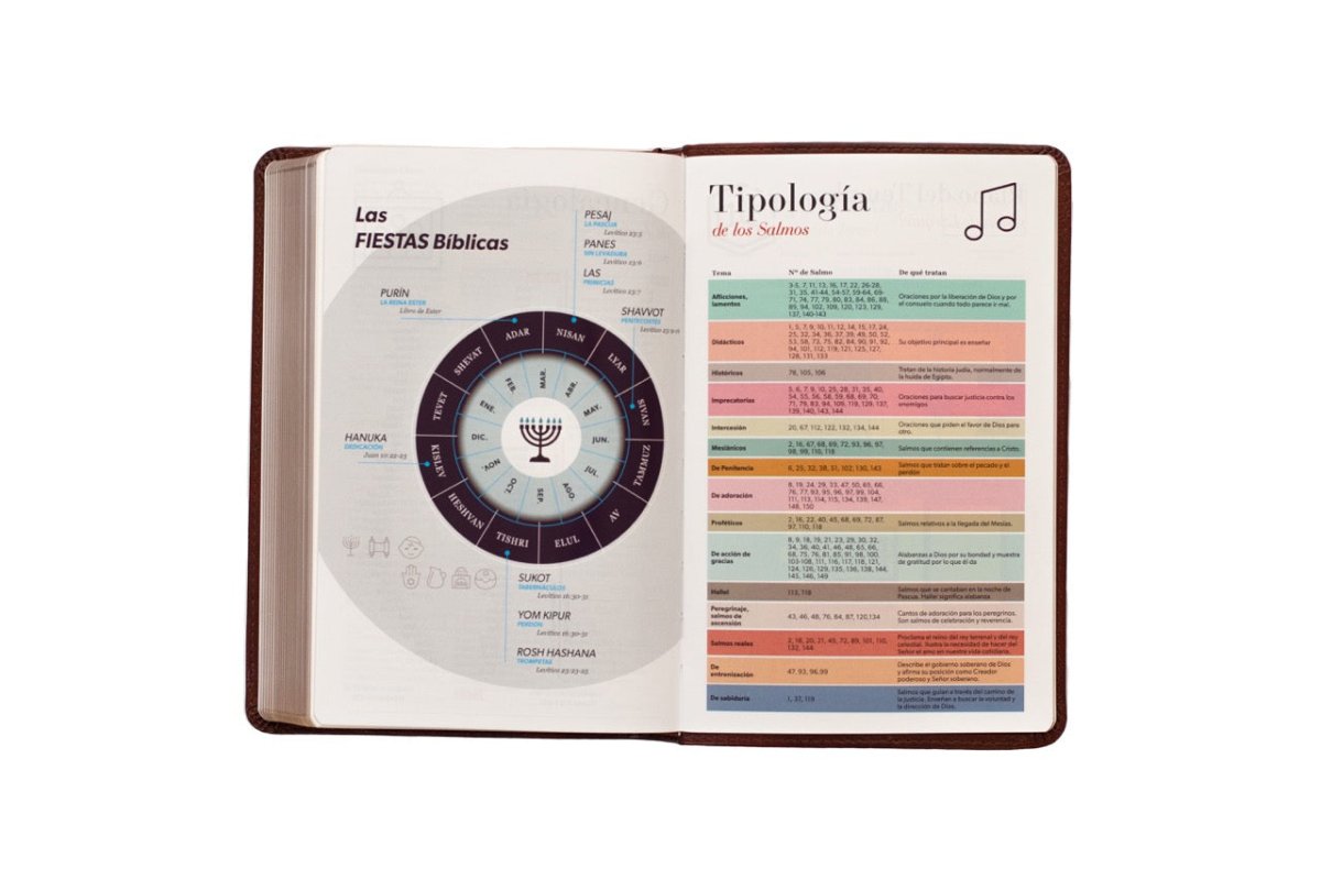 Biblia Reina Valera 1960 · 13,8x21,2 cm · Letra grande 12,5 pt · Edición clásica · Tapa imitación piel café