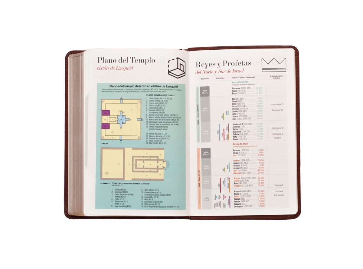 Biblia Reina Valera 1960 · 13,8x21,2 cm · Letra grande 12,5 pt · Edición clásica · Tapa imitación piel café
