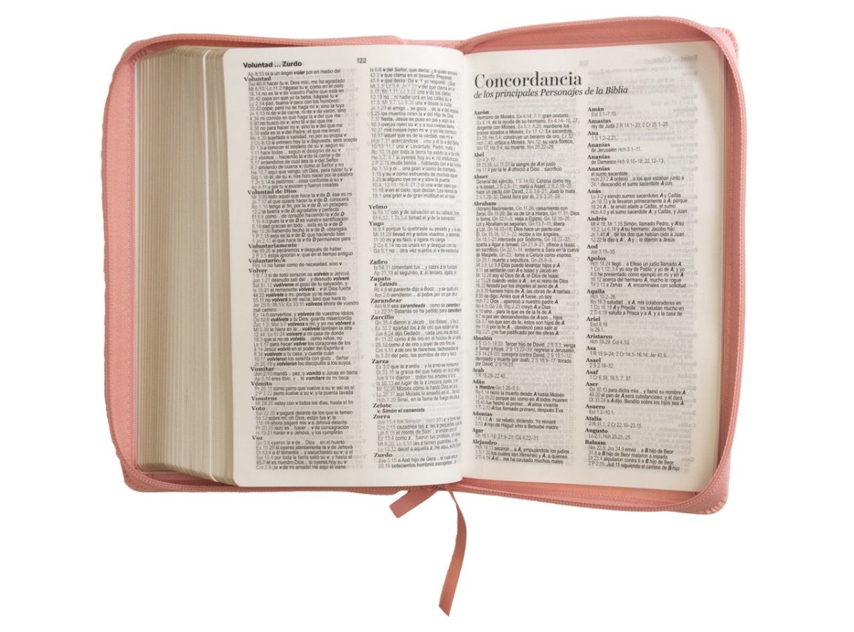 Biblia Reina Valera 1960 · 13,8x21,2 cm · Letra grande 12,5 pt · Con cierre · Edición clásica rosa