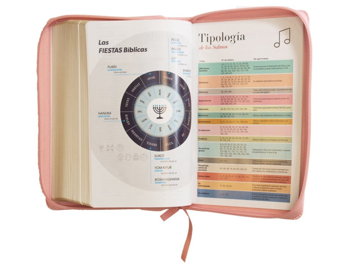 Biblia Reina Valera 1960 · 13,8x21,2 cm · Letra grande 12,5 pt · Con cierre · Edición clásica rosa