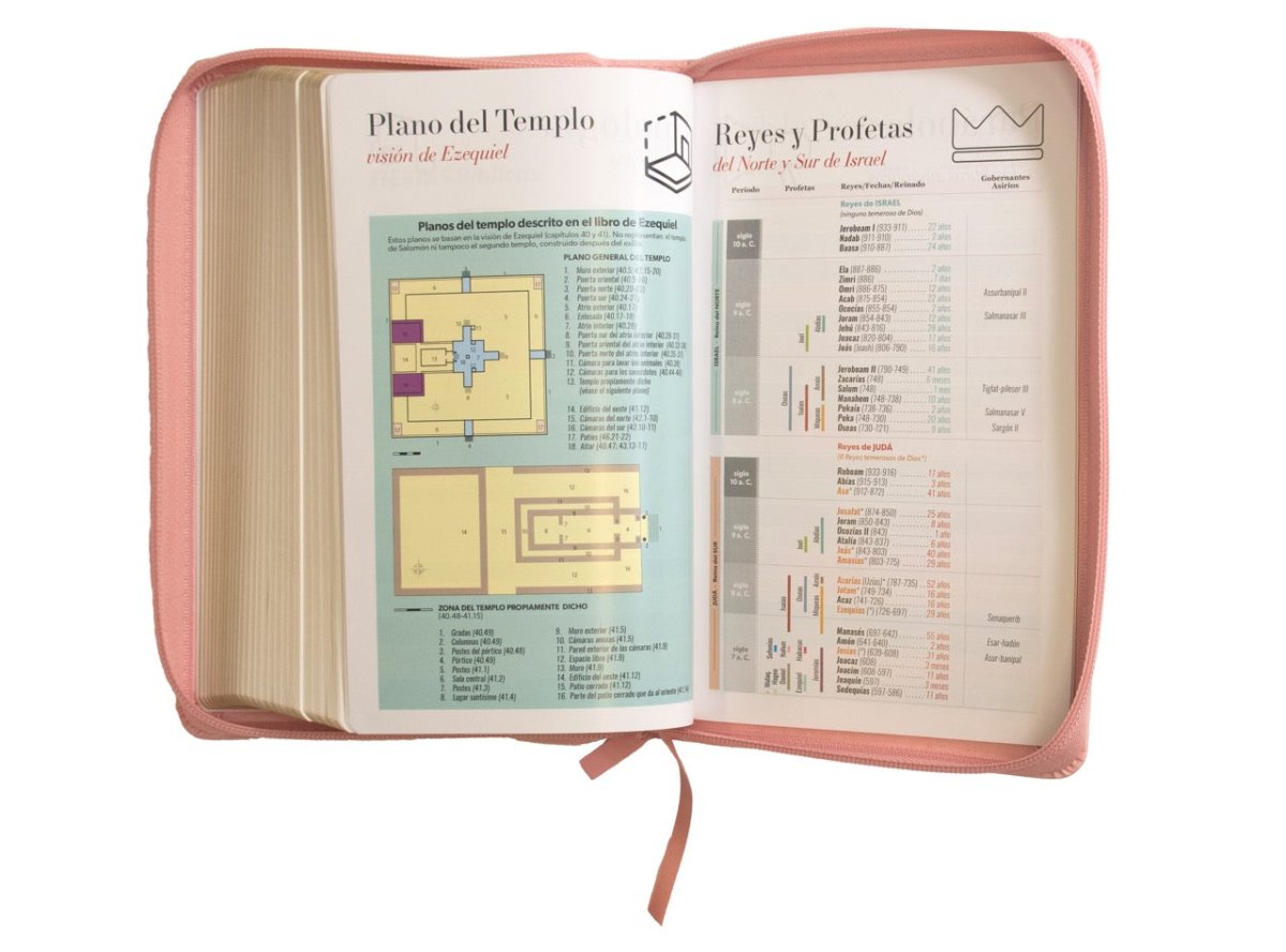 Biblia Reina Valera 1960 · 13,8x21,2 cm · Letra grande 12,5 pt · Con cierre · Edición clásica rosa