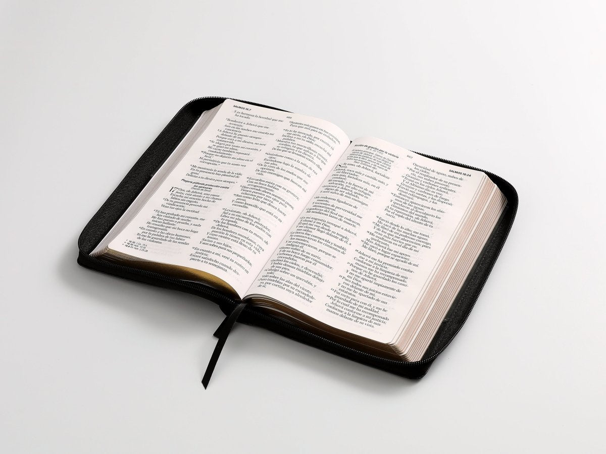 Biblia Reina Valera 1960 · 13,8x21,2 cm · Letra grande 12,5 pt · Con cierre · Diseño bitono negro y gris