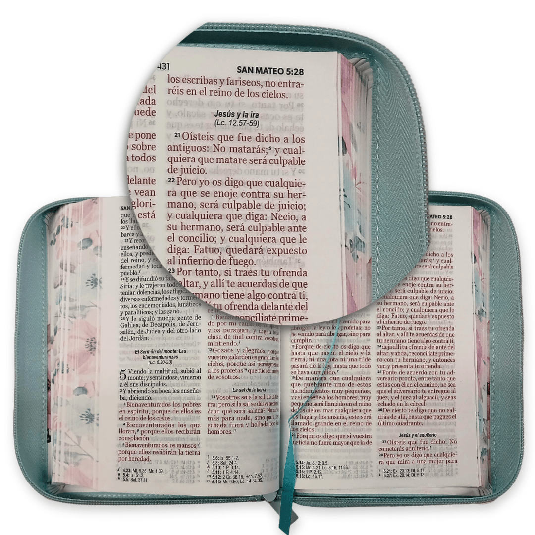 Biblia Reina Valera 1960 · 11x16,5 cm · Letra grande 11 pt · Con cierre · Colección Primaveral azul claro
