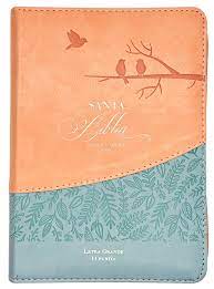 Biblia Reina Valera 1960 · 11x16,5 cm · Letra grande 11 pt · Con cierre e índice · Diseño pájaros rosa y azul