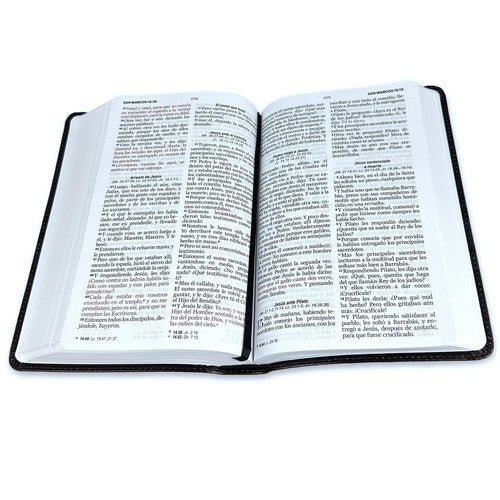 Biblia Reina Valera 1960 Letra Grande PJR Flex Leon