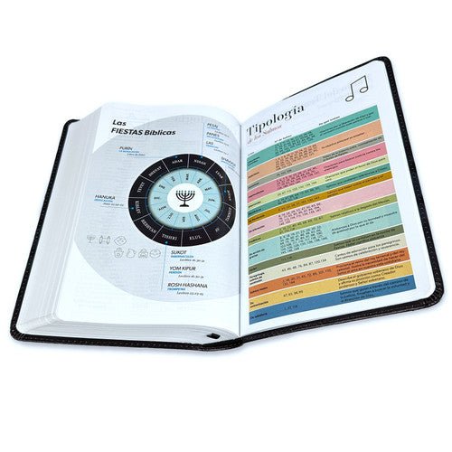 Biblia Reina Valera 1960 Letra Grande PJR Flex Leon