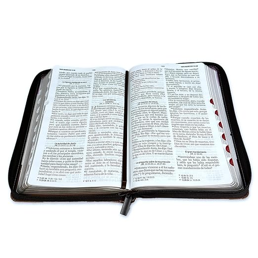 Biblia Reina Valera 1960 · 13,8x21,2 cm · Letra grande 12,5 pt · Con cierre e índice · Diseño tricolor fantasía rosa y café
