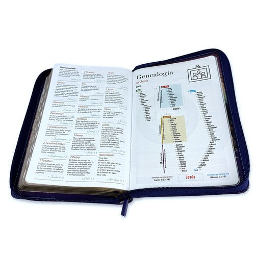 Biblia Reina Valera 1960 · 13,8x21,2 cm · Letra grande 12,5 pt · Con cierre e índice · Diseño tricolor fantasía lila y morado