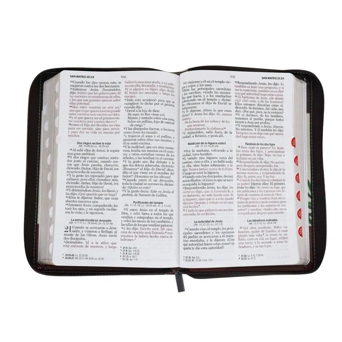 Biblia Reina Valera 1960 · 13,8x21,2 cm · Letra grande 12,5 pt · Con cierre e índice · Diseño tricolor fantasía marrón y grana