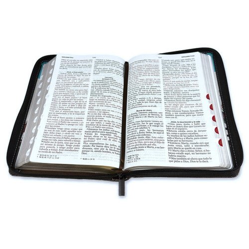 Biblia Reina Valera 1960 · 13,8x21,2 cm · Letra grande 12,5 pt · Con cierre e índice · Diseño tricolor fantasía turquesa y marrón