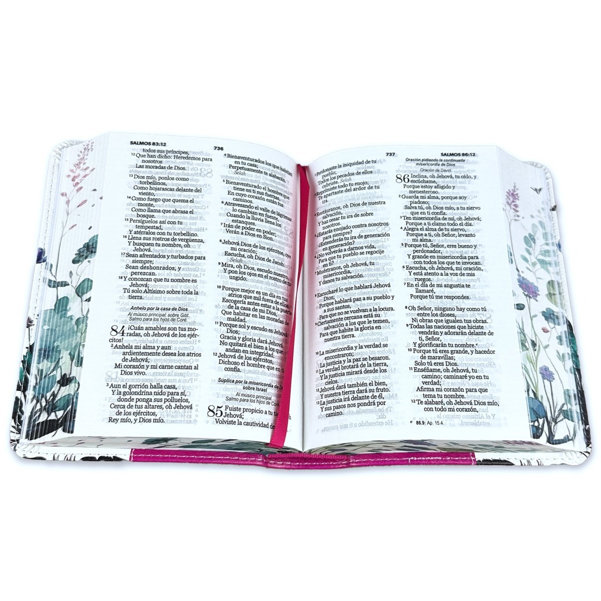 Biblia Reina Valera 1960 · 10x14 cm · Letra pequeña 8 puntos Tapa imitación piel · Colección Renovación lila