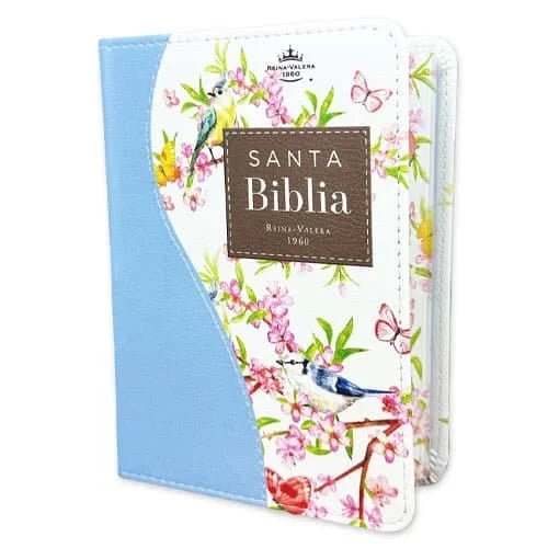 Biblia Reina Valera 1960 · 10x14 cm · Letra pequeña 8,5 pt · Tapa imitación piel · Colección Renovación turquesa