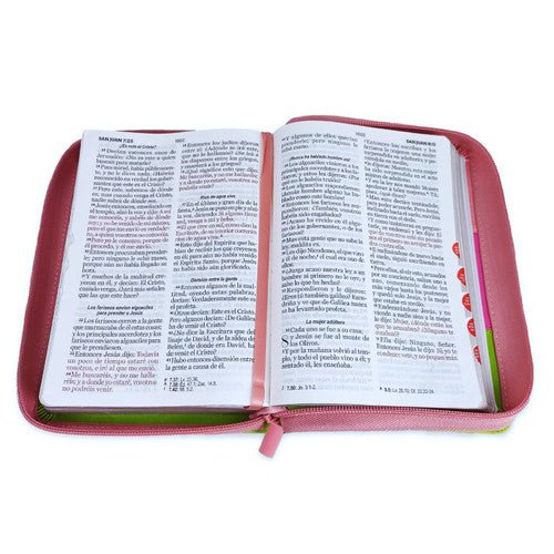 RVR60 045czti LG PJR Tricolor Rosa/fucsia/lima