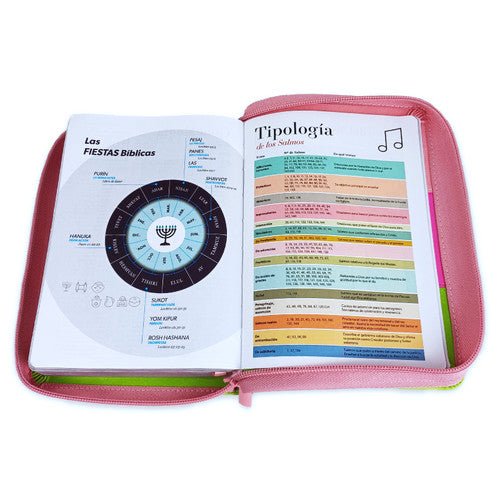 RVR60 045czti LG PJR Tricolor Rosa/fucsia/lima