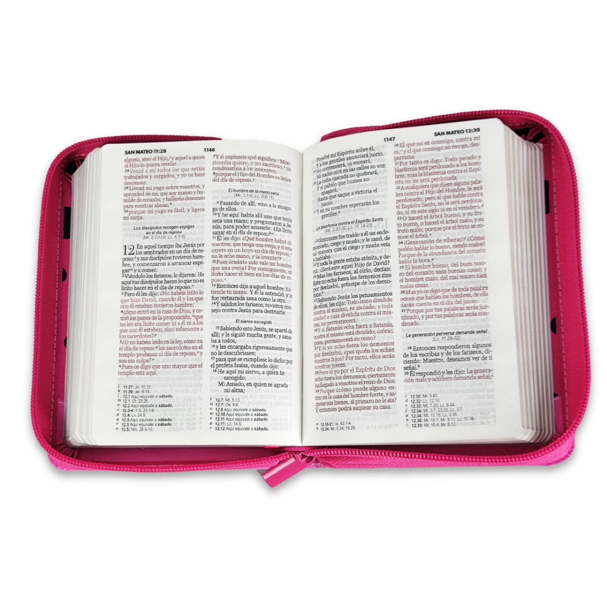 Biblia Reina Valera 1960 · 10x14 cm · Letra pequeña 8,5 pt · Con cierre · Tapa imitación piel · Colección Primor mariquita rosa y fucsia con topos