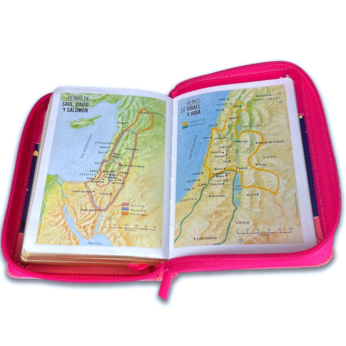 Biblia Reina Valera 1960 · 10x14 cm · Letra pequeña 8,5 pt · Con cierre · Tapa imitación piel · Colección Búho