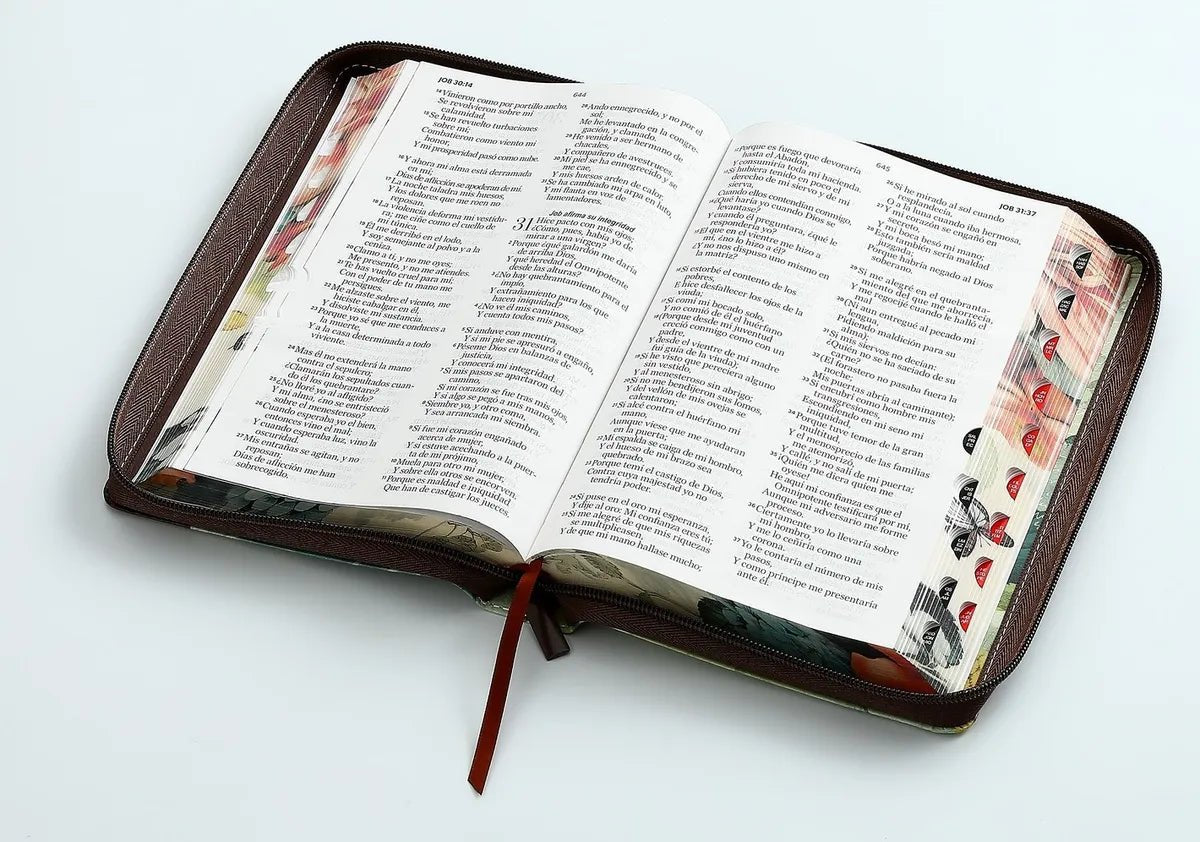 Biblia Reina Valera 1960 · 13,8x21,2 cm · Letra grande 12,5 pt · Con cierre e índice · Colección Pretty marrón