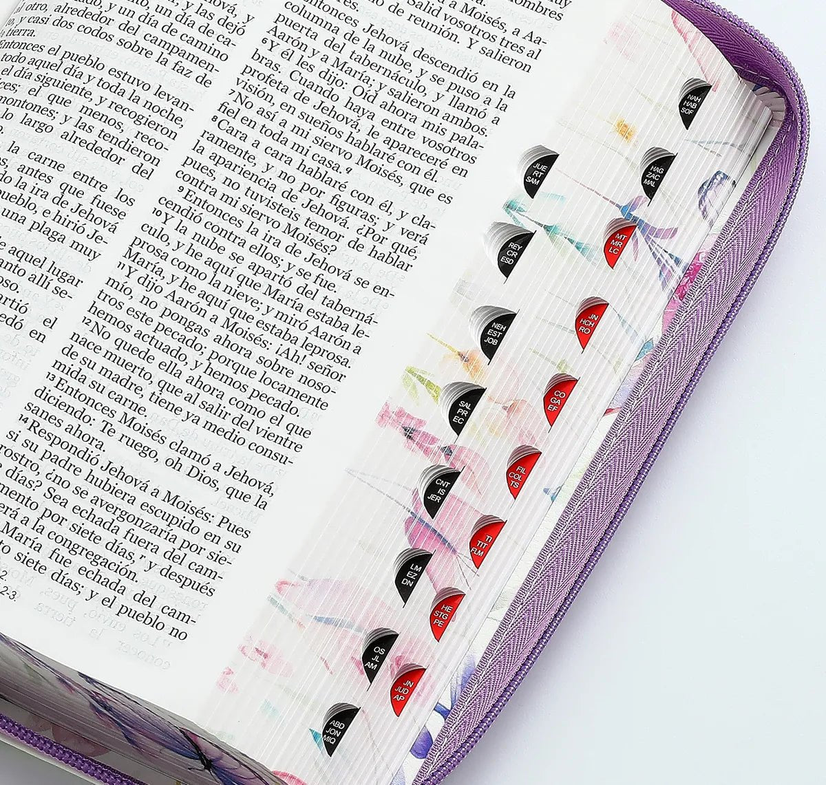 Biblia Reina Valera 1960 · 13,8x21,2 cm · Letra grande 12,5 pt · Con cierre e índice · Colección Pretty lila