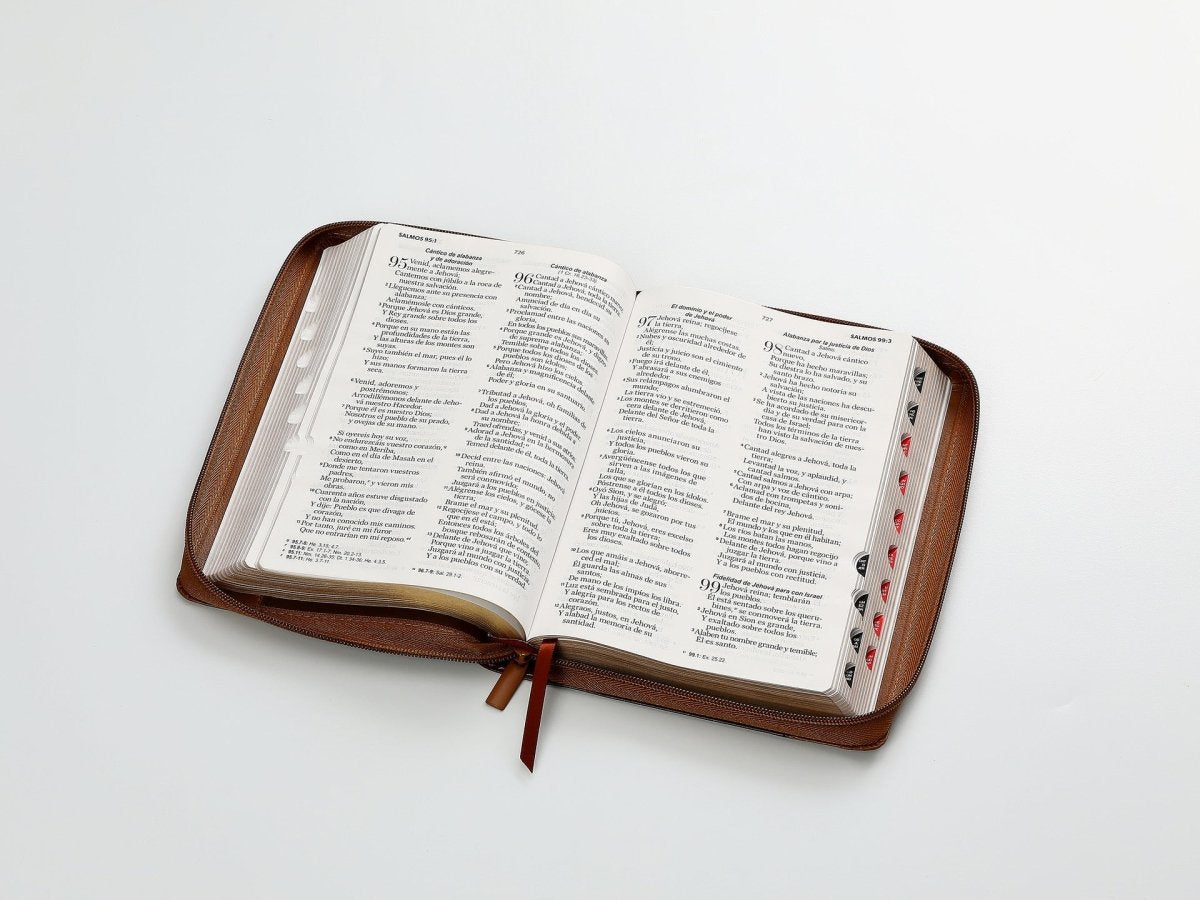 Biblia Reina Valera 1960 · 13,8x21,2 cm · Letra grande 12,5 pt · Con cierre e índice · Colección Inspiración águila café