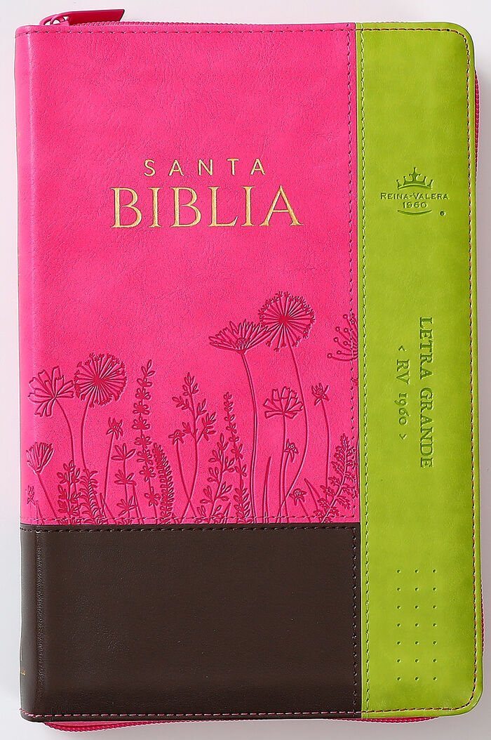 Biblia Rvr60 065Czti Lg Cierre Indice 12P 15 X 23 Inspiracion Flores