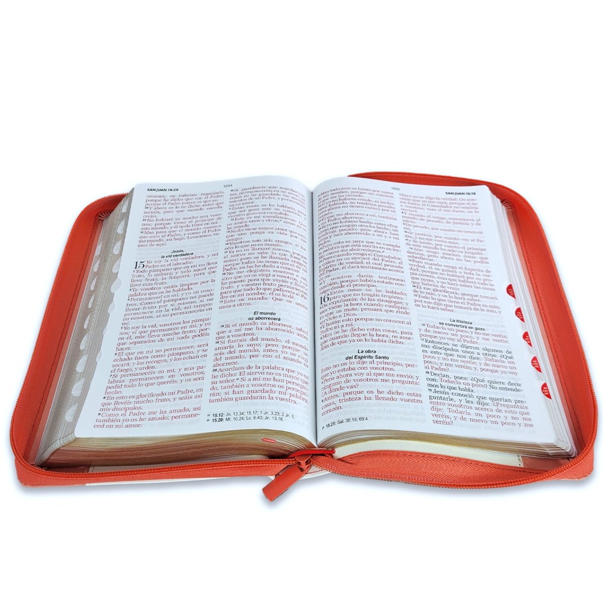 Biblia Reina Valera 1960 · 13,8x21,2 cm · Letra grande 12,5 pt · Con cierre e índice · Colección Inspiración pájaros blanco y coral