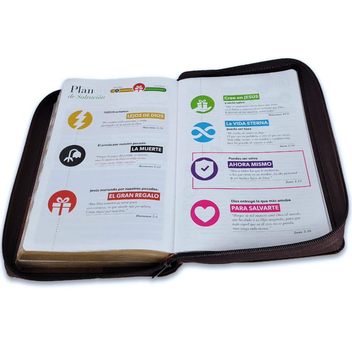 Biblia Reina Valera 1960 · 13,8x21,2 cm · Letra gigante 14 pt · Con cierre e índice · Colección Iconic café