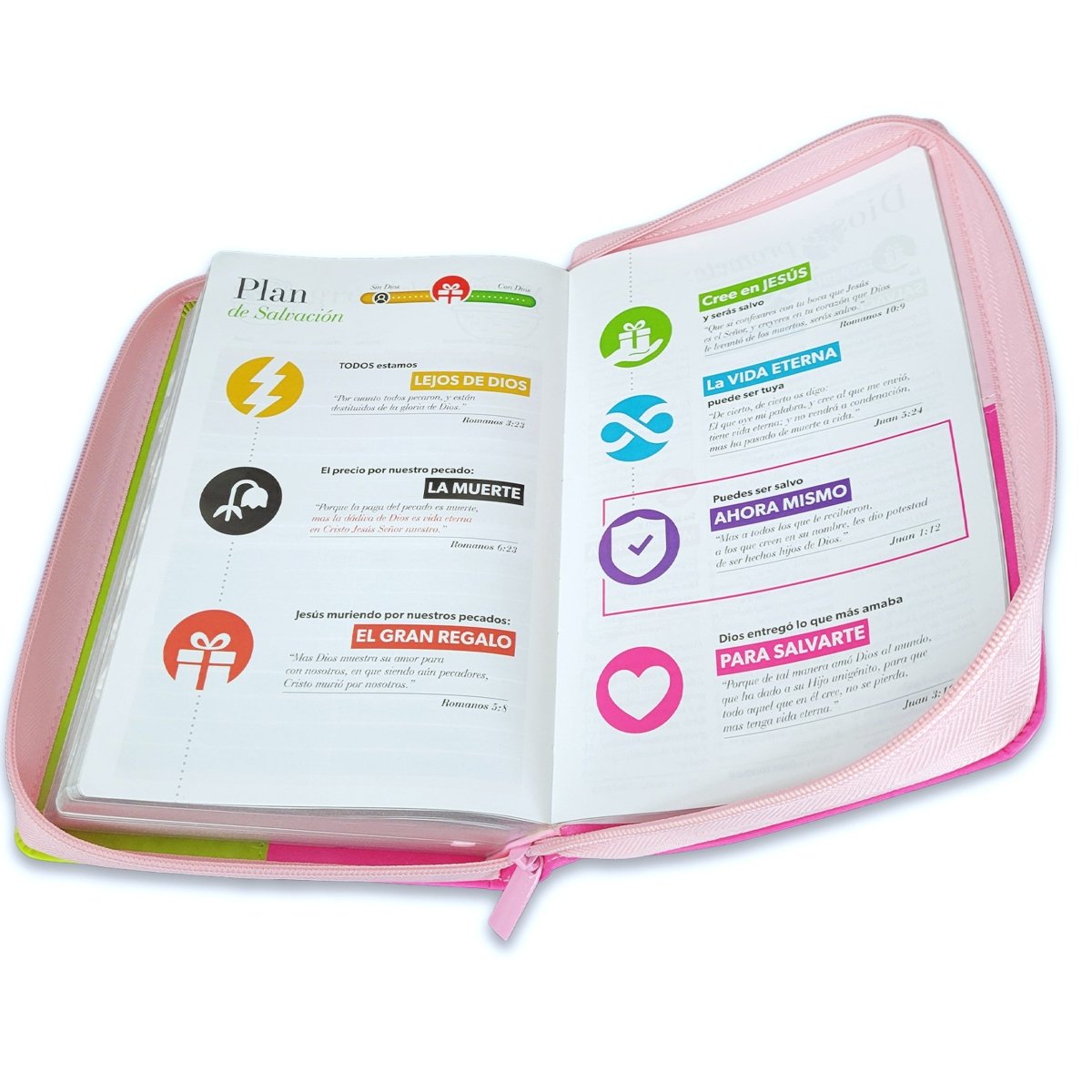 Biblia Reina Valera 1960 · 13,8x21,2 cm · Letra gigante 14 pt · Con cierre e índice · Colección Iconic fucsia, rosa y lima