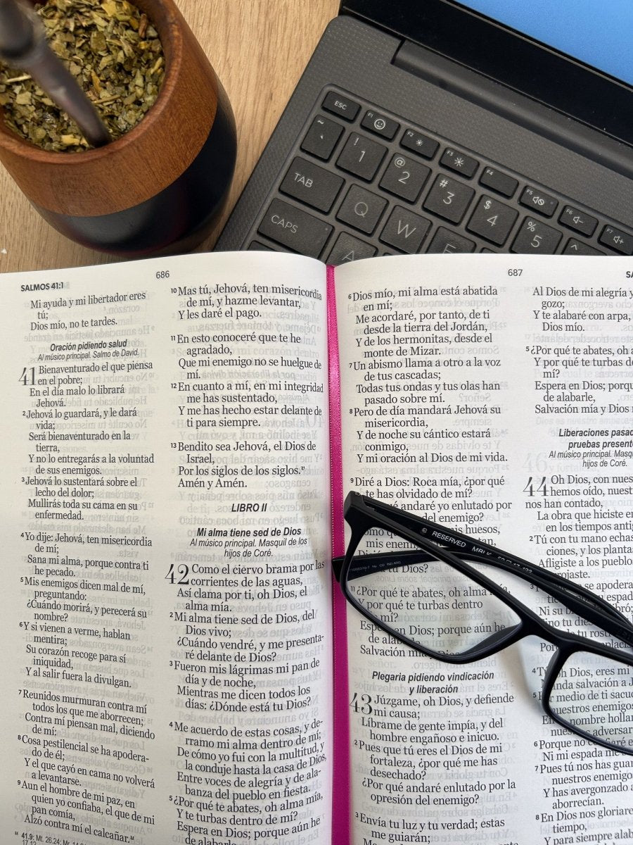 BIBLIA RVR60 BIBLIA RVR063C LG 12P 15 X 22 HÉROES TAPA DURA ROSA