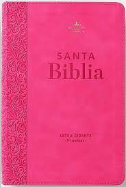 Reina Valera 1960 068C Lgi 14P 14X21 Colección Corinto Rosa