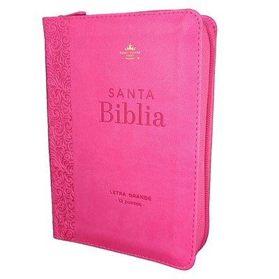 Biblia Reina Valera 1960 045Cz L 10P 11X16Cm Pjr I/Piel Fucsia Floral