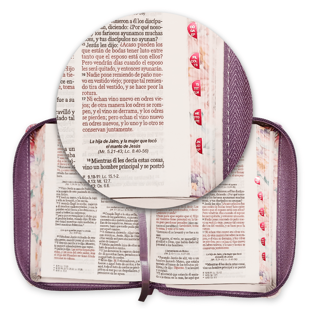 Biblia RVR60 025czti PJR CP jardín lila