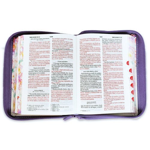 Biblia RVR60 065czti PJR CP jardín turquesa