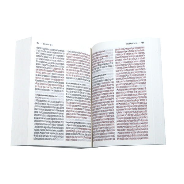 Biblia Reina Valera Contemporánea Letra Grande 12x16 cm Coverflex concordancia Naranja