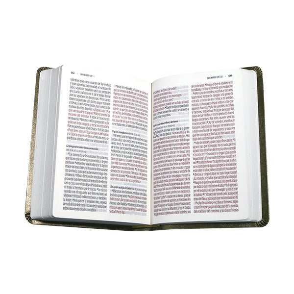 BIBLIA RVC.46cDLGPJR LETRA 10p 12x16 TAPA PU CONCORDANCIA VERDE MARRON