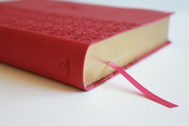 Biblia Reina Valera 1960 · Edición Super · Tapa fucsia