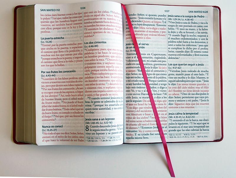 Biblia Reina Valera 1960 · Edición Super · Tapa fucsia