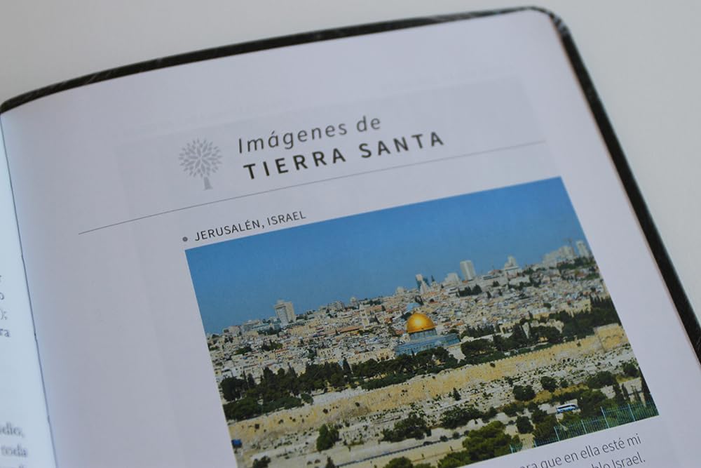 Biblia Reina Valera 1960 · Letra grande