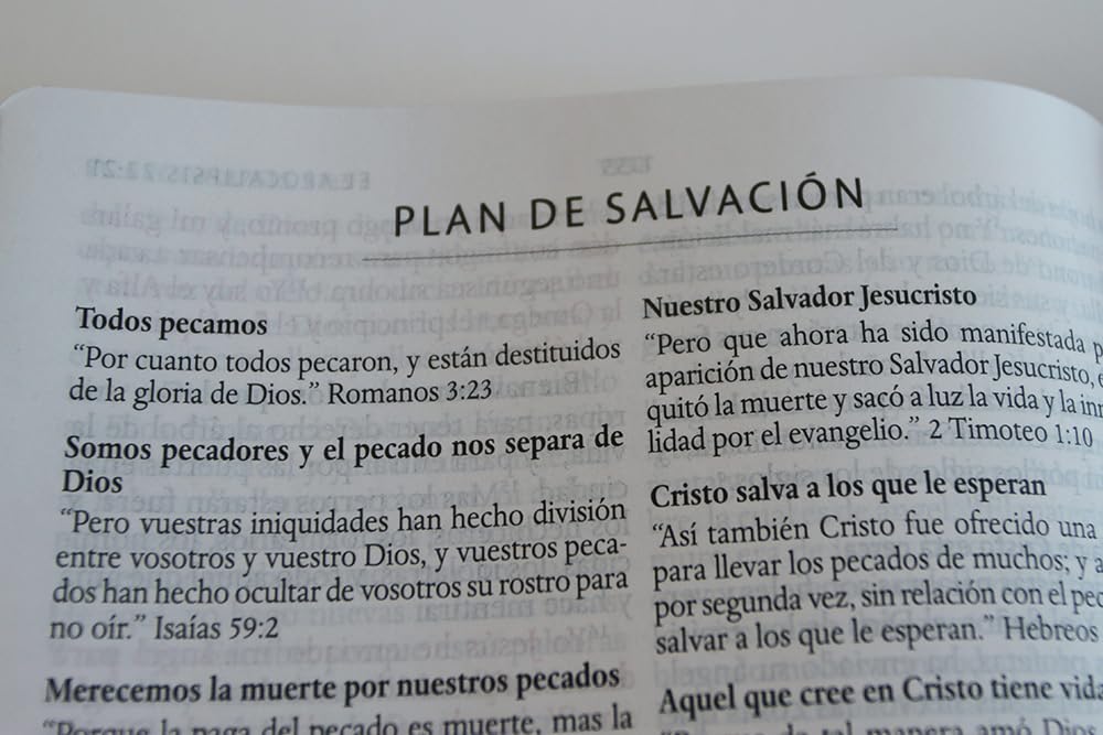 Biblia Reina Valera 1960 · Letra grande